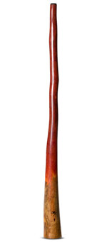 Tristan O'Meara Didgeridoo (TM307)